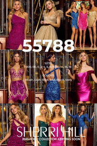 Sherri Hill 55788 formal dress images.  Sherri Hill 55788 is available in these colors: Blush, Light Blue, Red, Black, Ivory.