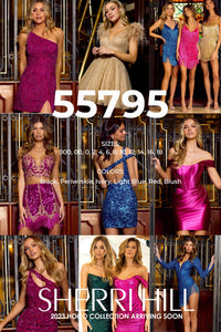 Sherri Hill 55795 formal dress images.  Sherri Hill 55795 is available in these colors: Black, Periwinkle, Ivory, Light Blue, Red, Blush.