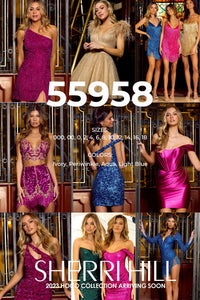 Sherri Hill 55958 formal dress images.  Sherri Hill 55958 is available in these colors: Ivory, Periwinkle, Aqua, Light Blue.